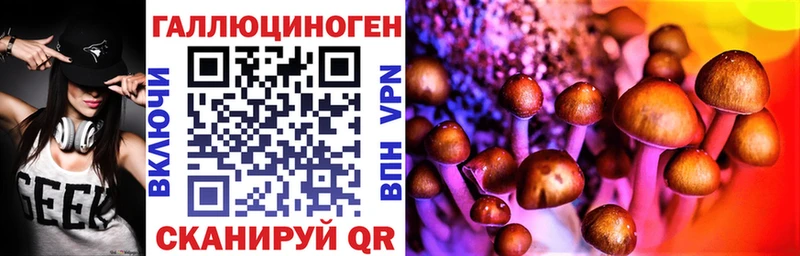 Псилоцибиновые грибы Cubensis  MEGA зеркало  Лянтор 